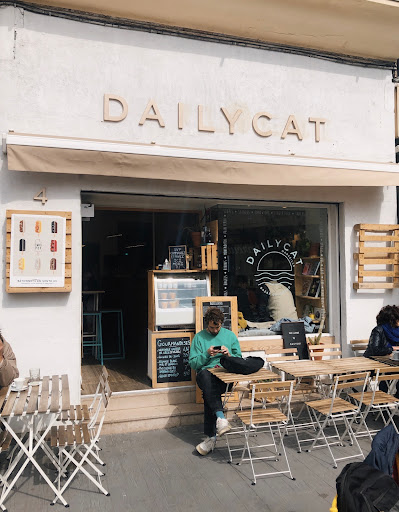 Dailycat - Thumbnail