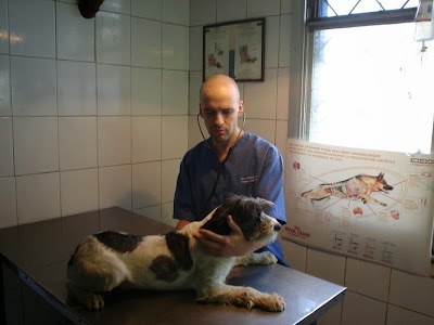 Photos of Veterinary Clinic Cibervet Queen &ntilde;u&ntilde;oa santiago