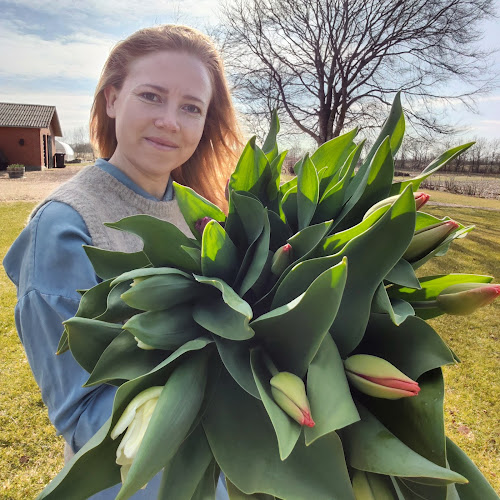 Trevældvej 1, 7830 Vinderup