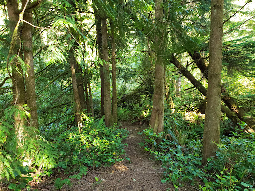 Sutton Campground - Visual