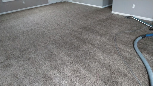 Mike's carpet cleaning