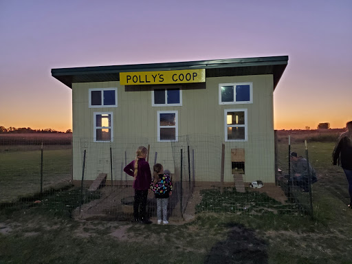 Polly's Pumpkin Patch - Visual