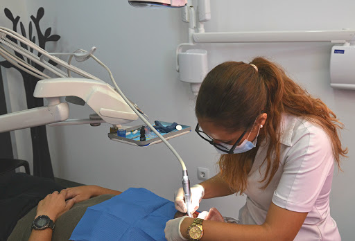 Clínica Dental Ortonova