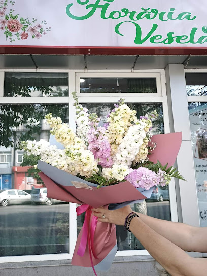 Floraria Vesela by Danutza Dan