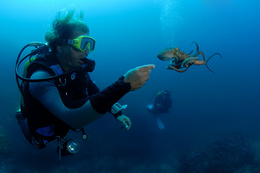 Dive Sicily - Naxos & Taormina Gallery - Italy