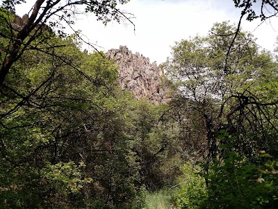 Photos of Uinta-Wasatch-Cache National Forest