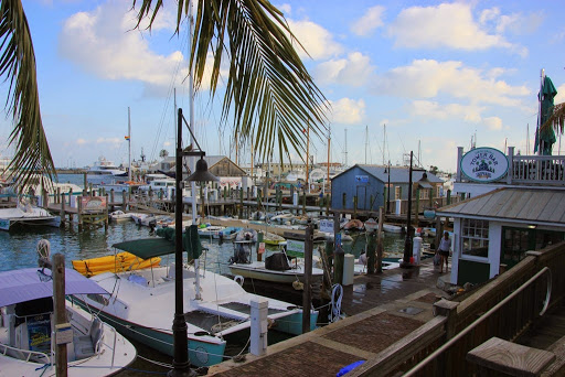 Hemingway in Key West Tours Gallery - United States