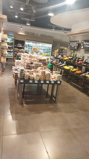 OpenCor - Visual