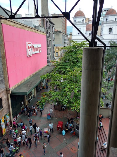 Photos of flamingo