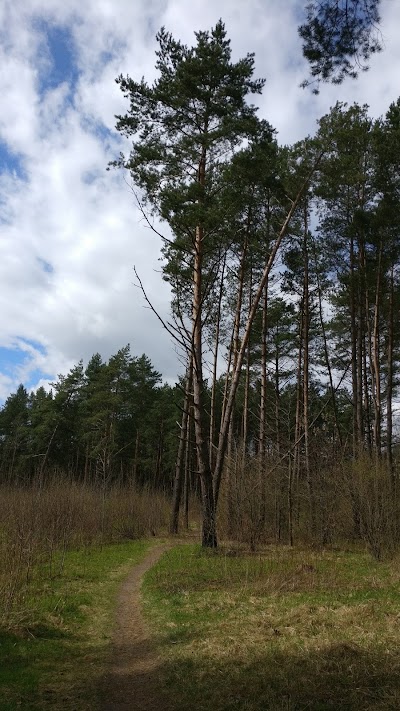 Photos of Kleboni&scaron;kio mi&scaron;ko parkas