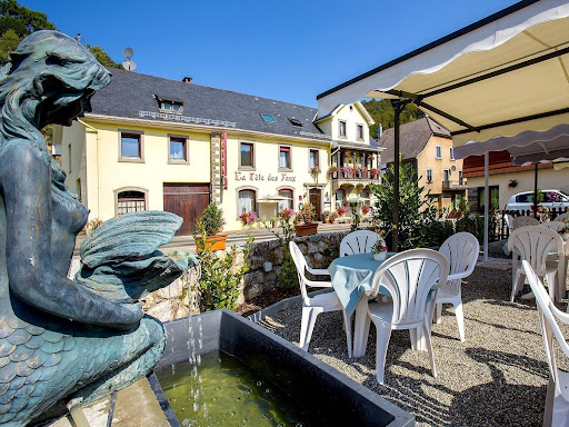 Photo de LOGIS HOTEL ET RESTAURANT MAISON DE LAVELINE à Ban-de-Laveline (88520)