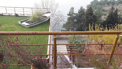 Photos of Paşalimanı
