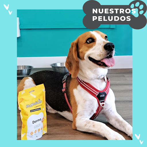 Qué cucki! - Visual