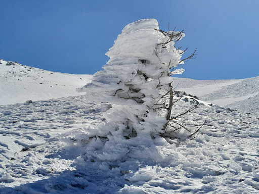 Cima Morrone - Thumbnail