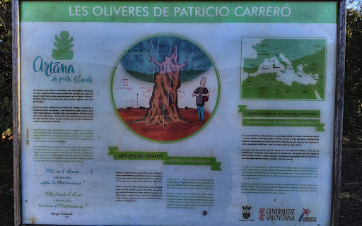 Los Olivos de Patricio Carreró - Thumbnail