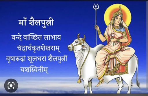Navratri sapical offer  post image