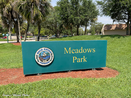 Meadows Park Pool - Visual
