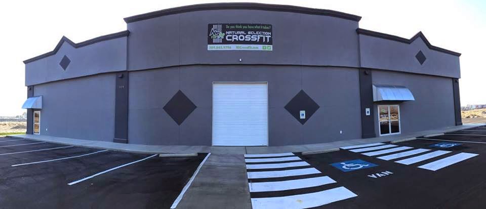 Natural Selection Crossfit photo 2