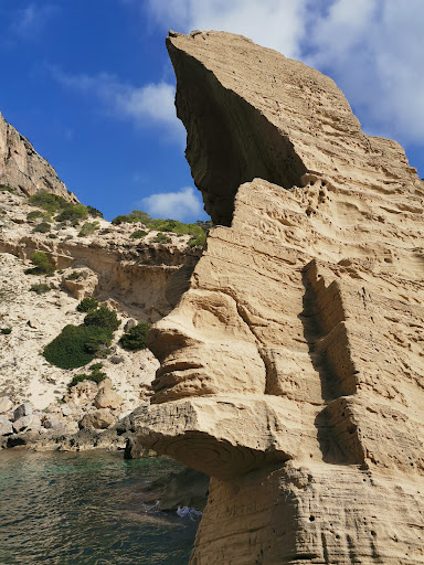 Sa Pedrera de Cala D'Hort Logo