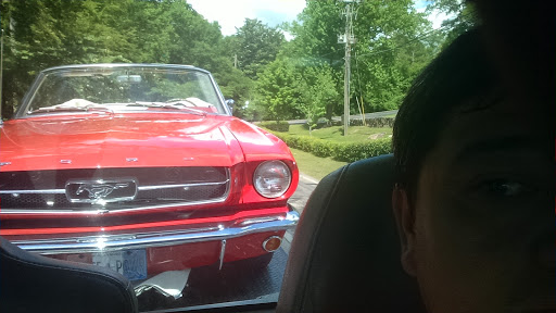 Tow Monkey - Thumbnail