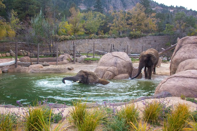 Cheyenne Mountain Zoo