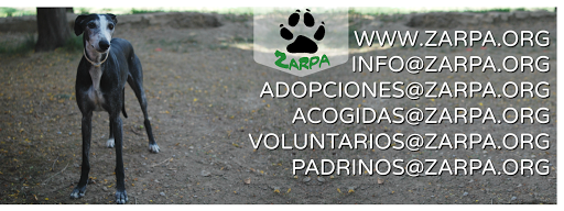 Zarpa Protección Animal