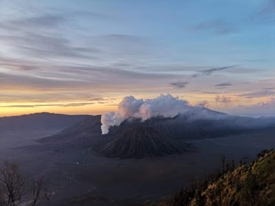 Photos of Toto Travel