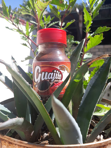 Guajito - Visual