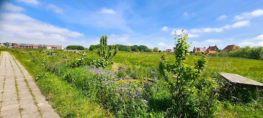 Stadstuin Techum - Visual