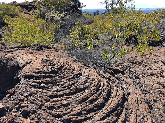 Mauna Loa Lookout