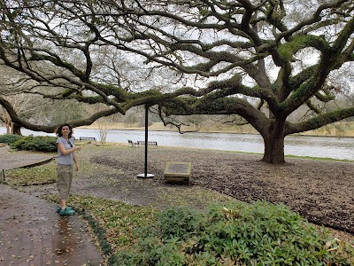 Natchitoches Parish Riverbank