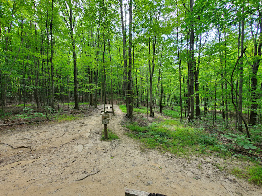 Royalview Mountain Bike Trail (Dessoffy Lot)