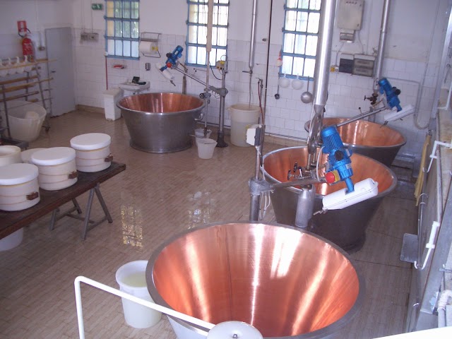Dairy "St. Pier Damiani"