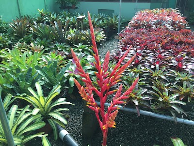 Photos of Jardines Paraiso