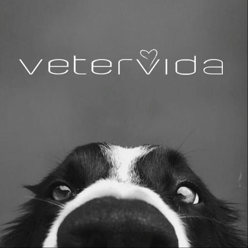 VETERVIDA