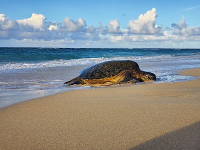 Baldwin Beach Park