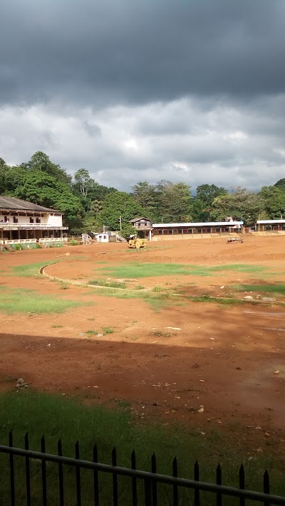 stadium