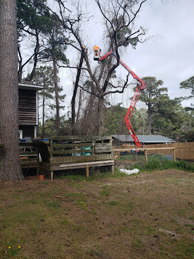 Donatelli Tree Services LLC - Thumbnail