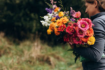 Terralya, Producteurs Fleurs Séchées Gersois à Montégut