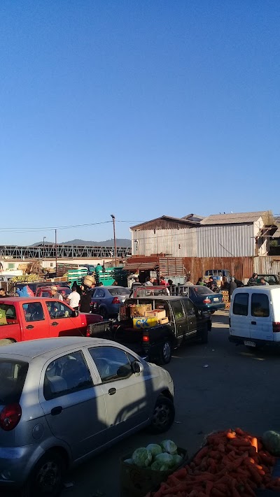 Photos of The great fair of Bellotto