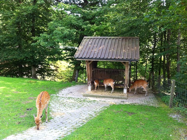 Wildpark Bruderhaus