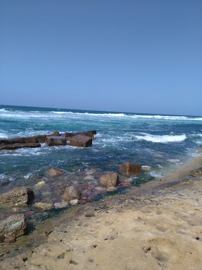 Photos of شاطىء سيدى بشر . البوريفاج