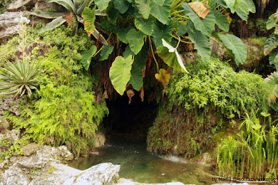 Gardens of Vatican City