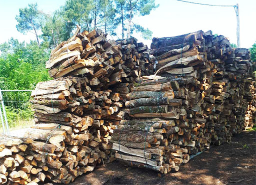 Photo de Sarl Vallet Michel à Illats (33720)