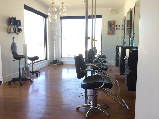 DAVID HILLIS SALON - Thumbnail
