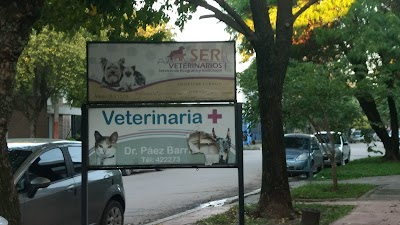 Photos of Veterinary Clinic Dr Paez Barrios