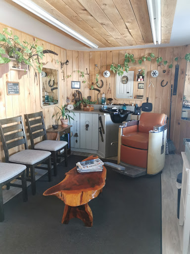 Barbier Rawdon - Visual