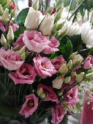 Photo n°54 de Végétal fleuriste à Joyeuse (Prestataire de mariage)