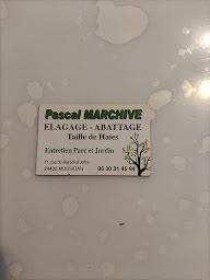 Photo n°11 de Pascal Marchive à Mussidan (Service d'élagage)