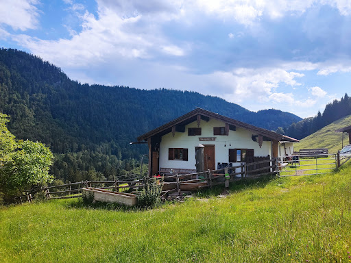 Baumgartner Alm - Visual